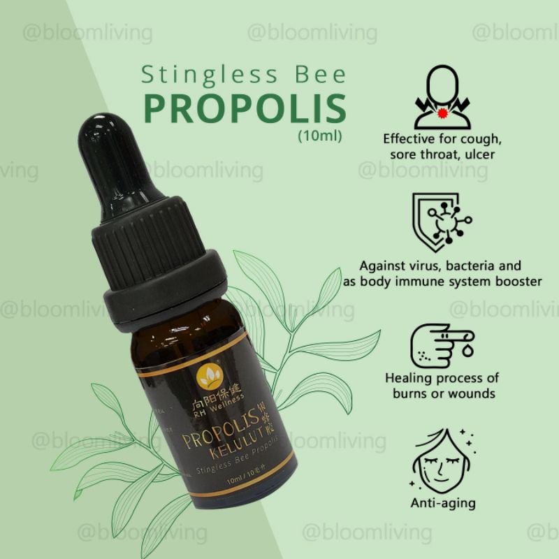 Stingless Bee Propolis-10ml | Shopee Malaysia