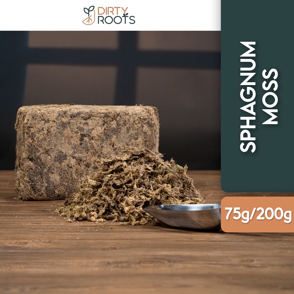 Dried Sphagnum Moss for Orchid Rose Plants Propagation 75 g 200 g Shopee Malaysia