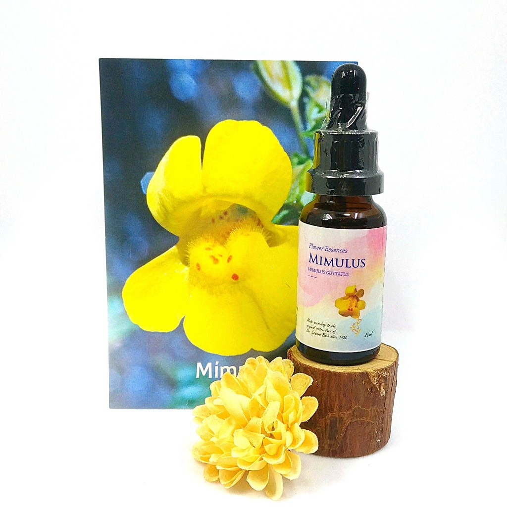 BACH Flower Essence [Mimulus Mimulus 30C] Faucet Extinction 20ML Food