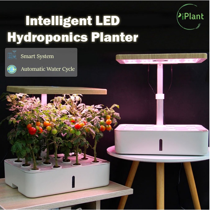 Hydroponics Indoor Smart Planter w/ LED Growing Light🔥开放式LED智能水培种植机🌱 ...