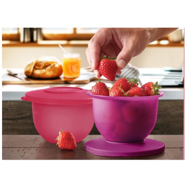Tupperware Expression Bowl Mini 550ml (2 pcs) | Shopee Malaysia