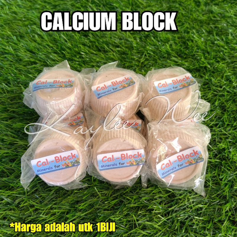 CAL-BLOCK FOR BIRD 1PCS | Shopee Malaysia