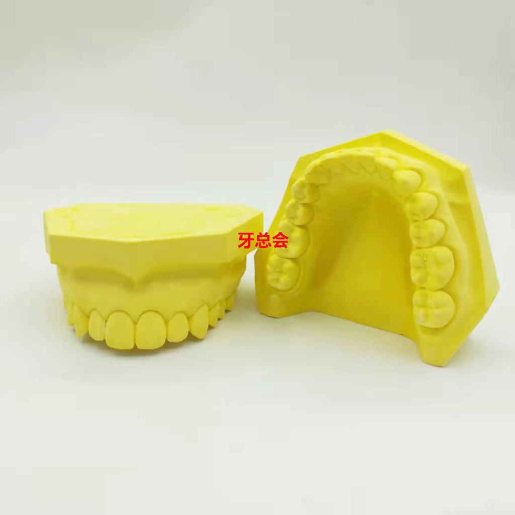 Veneer Practice Dental Cast Type Dental Clinic Swing Standard Super