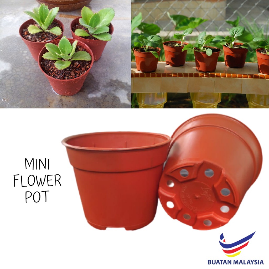 Petak Pasu Bunga Coklat Kecil Murah Segi Empat Pasu Plastik Brown Square  Small Flower Pot W13xL13xH9cm 1pc