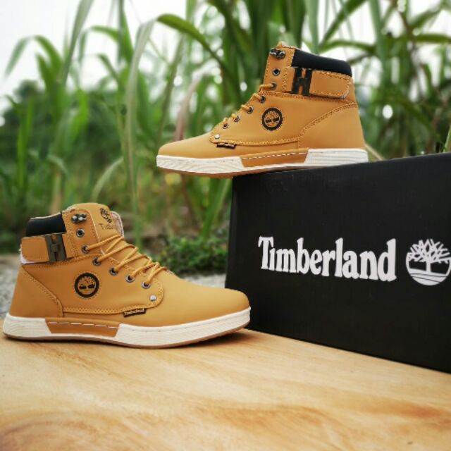 Timberland store high cut