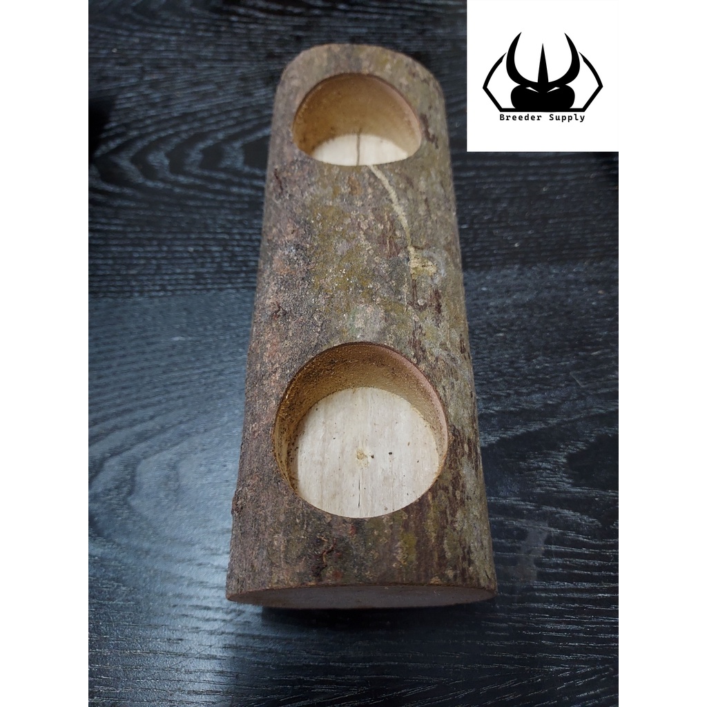 Beetle Jelly Holder Double Hole Wood Insects Jelly Stand 甲虫 果冻台 攀爬木 果冻 ...