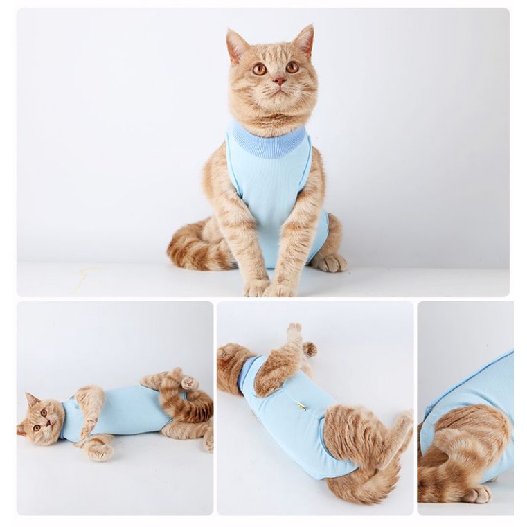 🇲🇾Pet sterilization suit pets suit Pet postoperative clothing ...