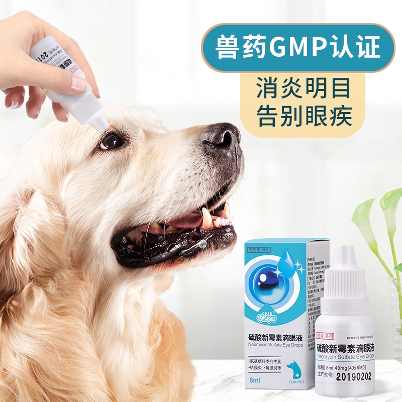 Chloromycetin eye drops outlet for dogs