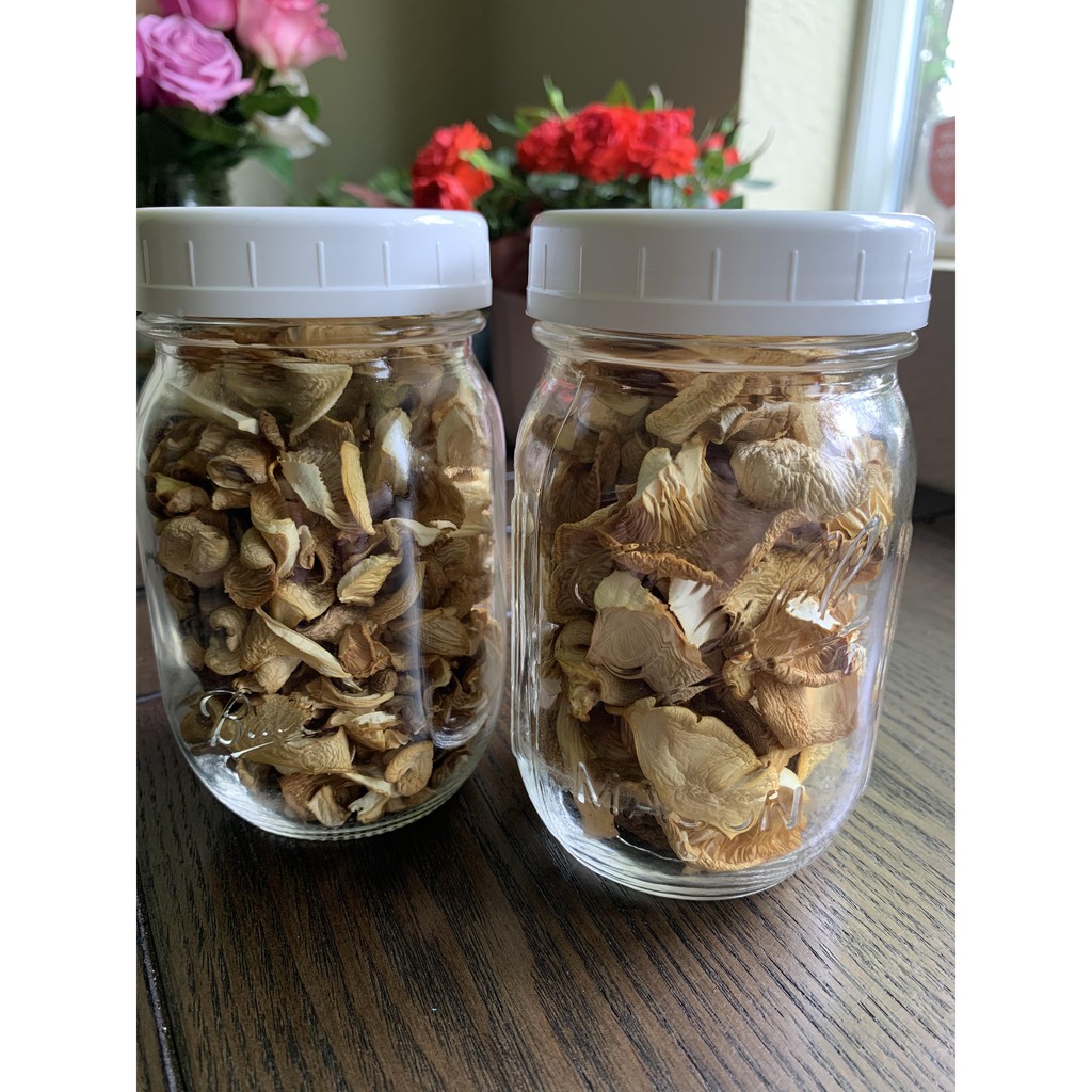 Dehydrated Oysters Mushrooms Dried Shopee Malaysia