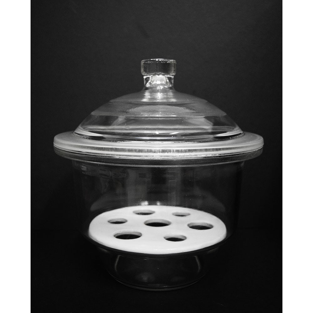 READY STOCK Glass Desiccator (150mm - 300mm) Wholesaler NICE MURAH ...