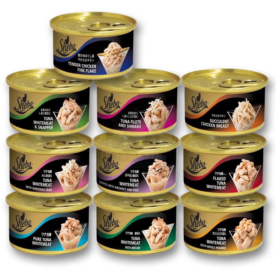 Sheba cat hot sale wet food