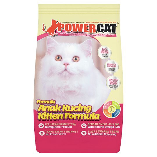 Powercat kitten 2024