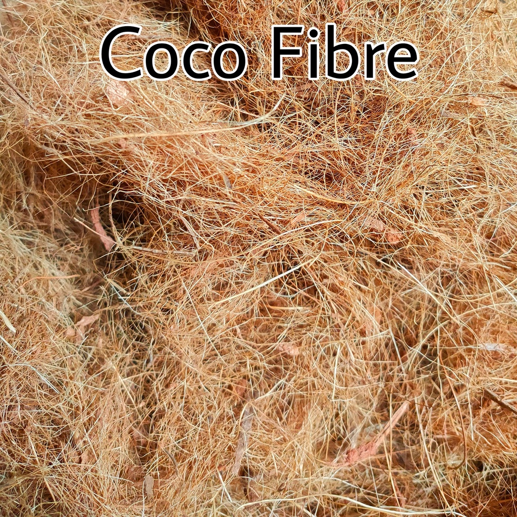 Coco Fibre/Urat Sabut/300g-500g-1kg/growing media/sabut kelapa/home ...