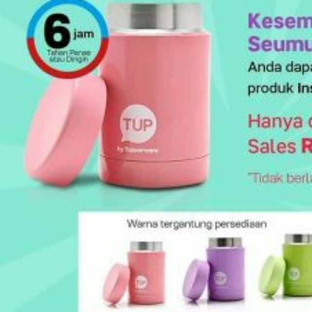 TUPPERWARE thermos 250 ml Flask - Buy TUPPERWARE thermos 250 ml