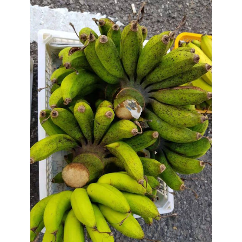 FRESH FRUIT-BANANA/ Sarawak Banana/Mini Banana/India Banana | Shopee ...