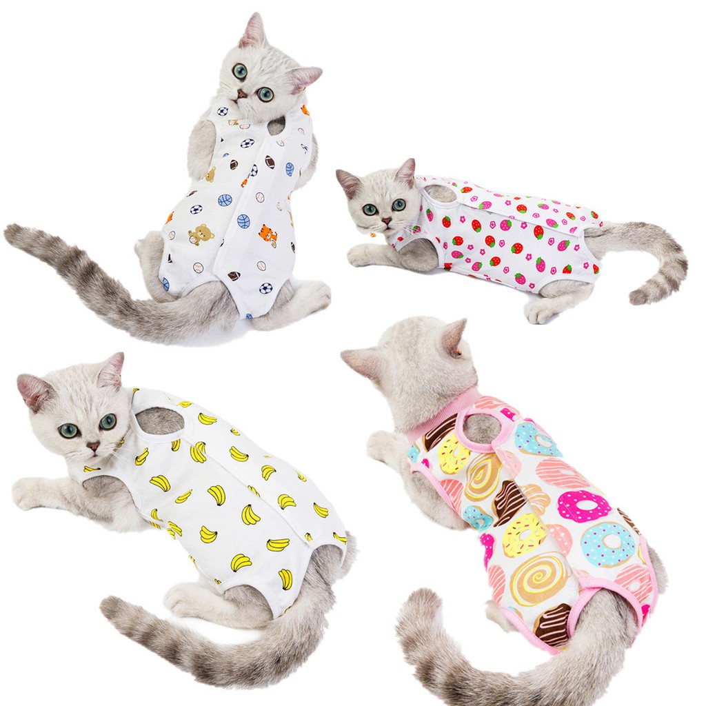 Dropship Sterilization Clothing For Cats In Summer, Thin Female Cat  Surgical Clothes, Weaning Clothing, Licking-proof And Hair-shedding-proof  Clothing For Cats After Ventilation to Sell Online at a Lower Price