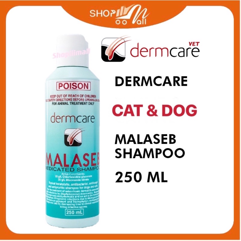 Dog shampoo to 2025 treat yeast infection