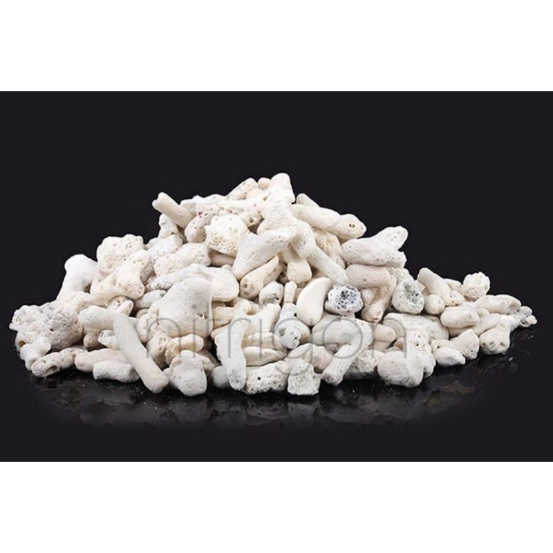 Crushed Coral Bone Chip Stone Rock Filter Bio Media Ph Up Filtration Sumb Tank Aquarium