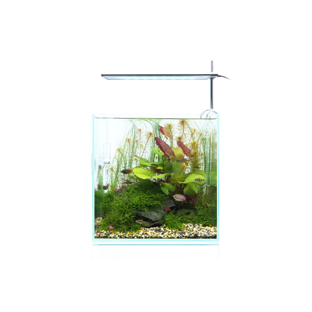 DOOA SOL Stand RGB Lighting System Aqua Design Amano DOOA SOL Stand RGB Lighting System Aqua Design Amano