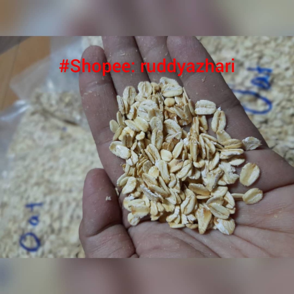 BIJIRIN OAT UNTUK ARNAB, GUINEA PIG CHINCHILLA 500gram Shopee