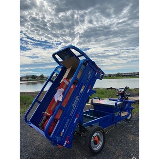 tailg e bike 3 wheel price