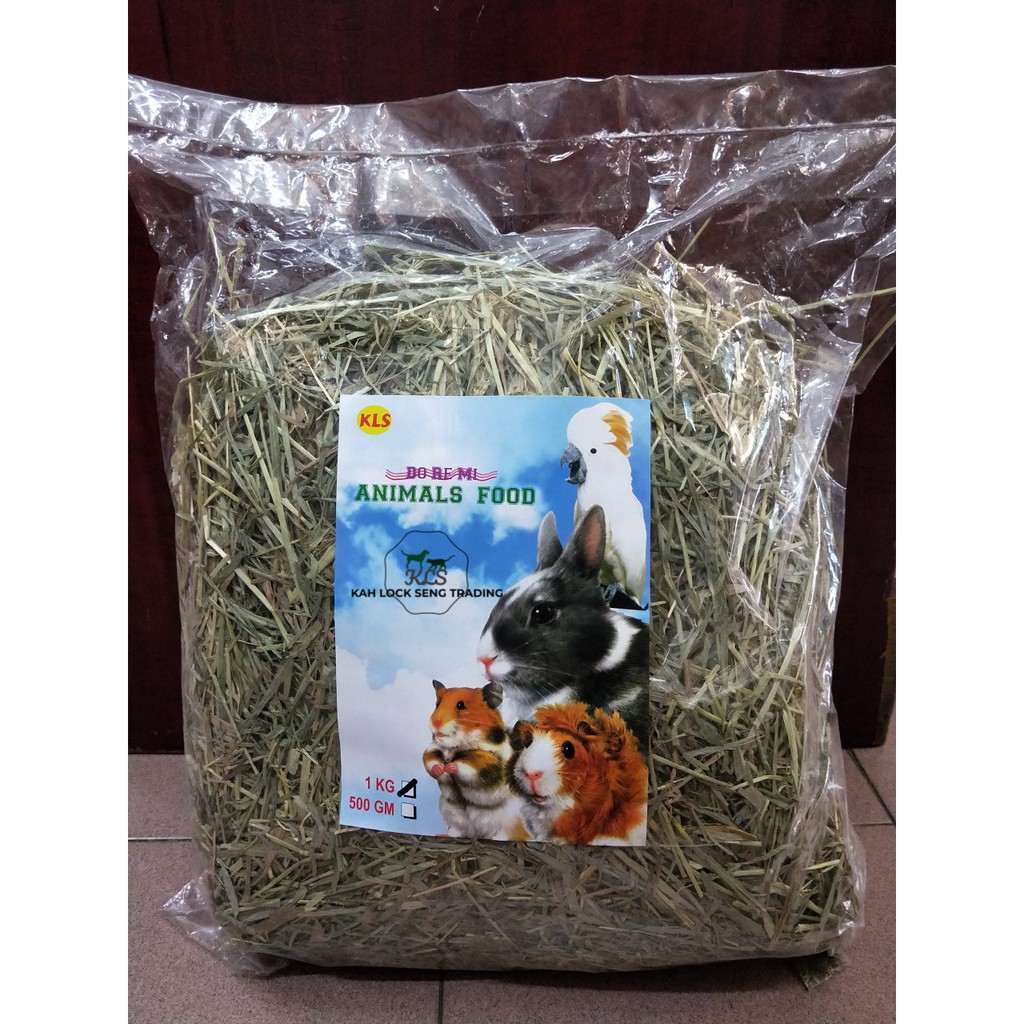 Do Re Mi Timothy Hay For Rabbit/Rodents/Hamster (1kg) Shopee Malaysia