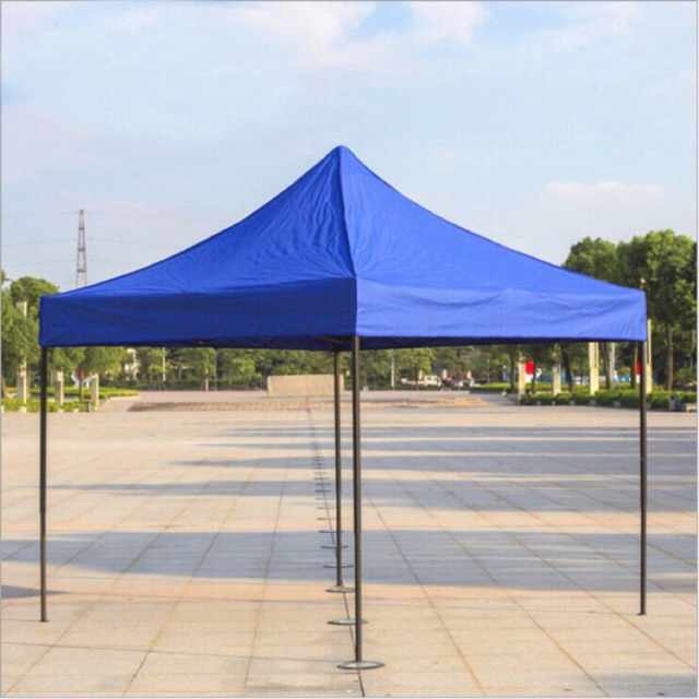 10ft x hotsell 10ft canopy