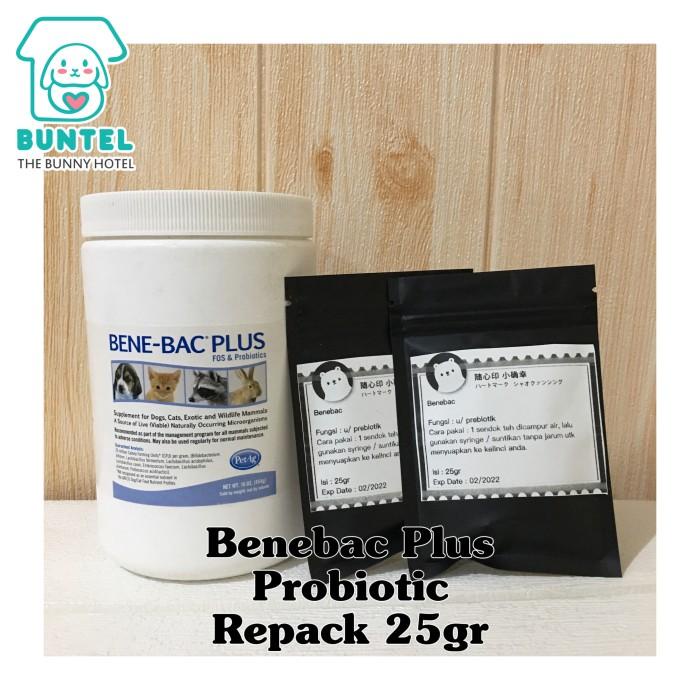 Tokki Bene Bac Plus Probiotic Prebiotic Powder For Small Animal