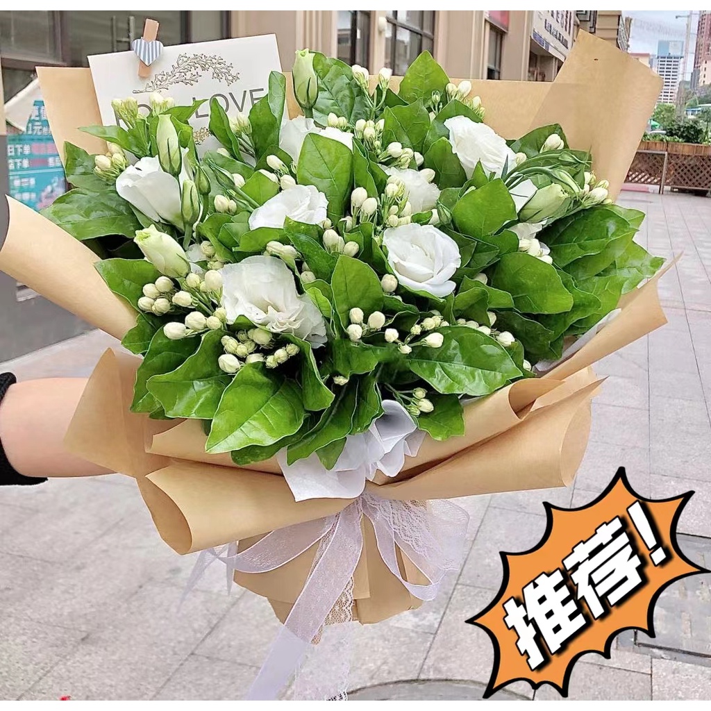 100pcs Jasmine Seeds indoor balcony potted flower seeds and ornamental