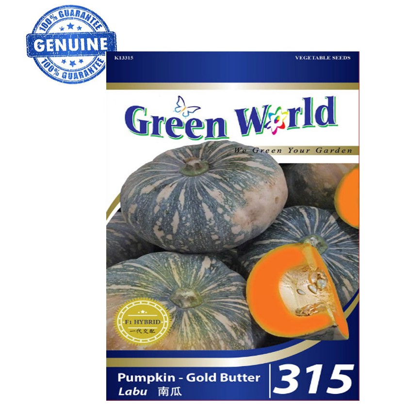 SEEDS / BENIH 315 PUMPKIN GOLD BUTTER Labu | Shopee Malaysia