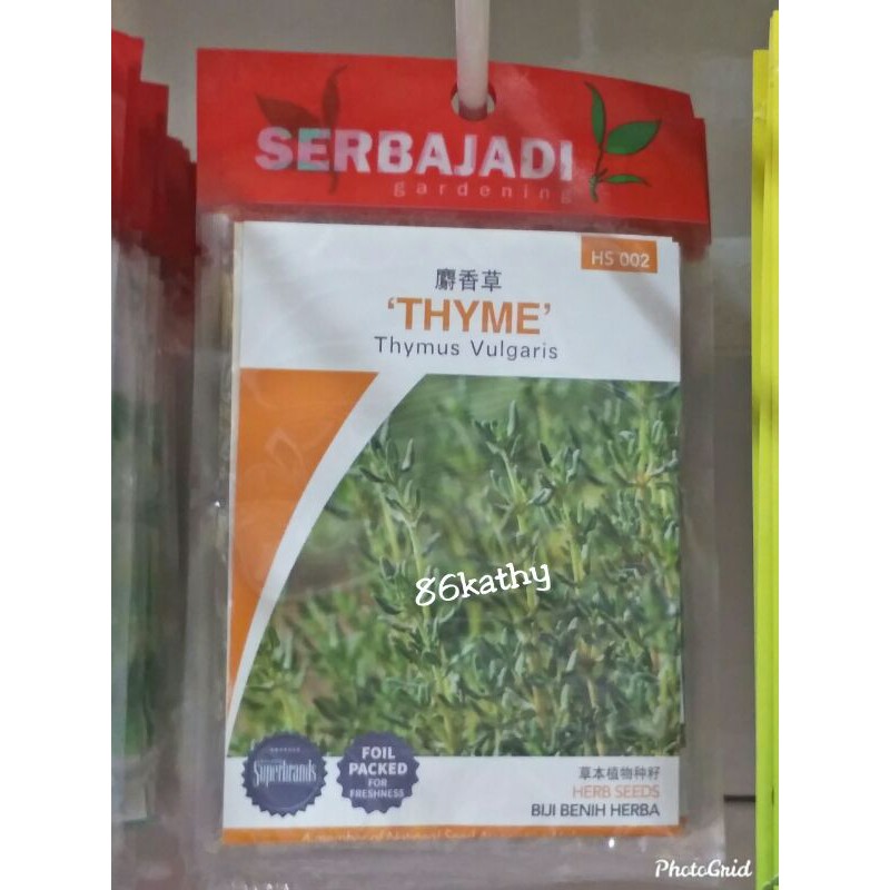 (HS002 Seed) Serbajadi Thyme Thymus Vulgaris / Biji Benih Herba Thyme