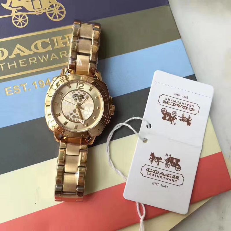 Coach mini boyfriend online watch