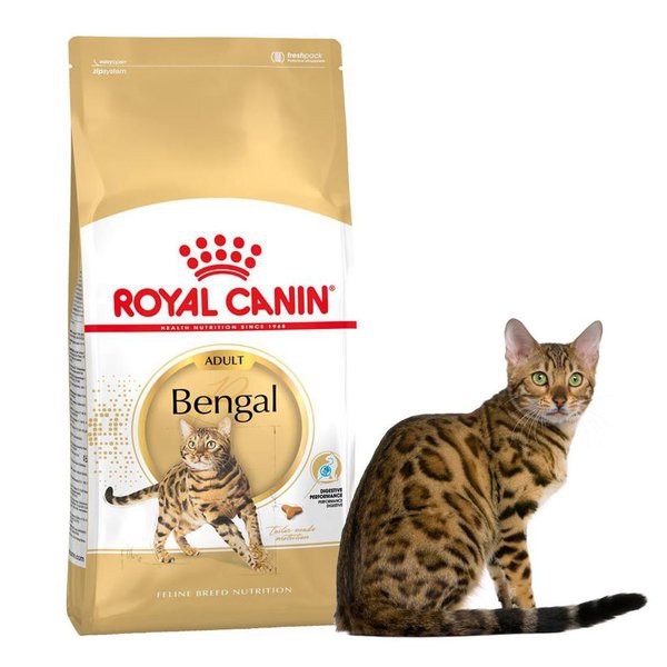 Royal canin shops bengal 2kg