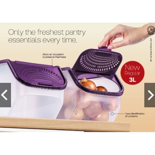 🔥Tupperware Garlic Keeper 3.0L & 2.3L Purple🔥 Shopee Malaysia