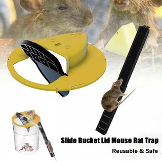 RINNETRAPS Flip N Slide Multi Catch Mouse Traps in the Animal