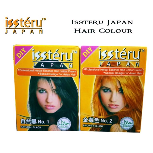 ISSTERU JAPAN HAIR COLOUR CREAM （HAIR DYE/ PERWARNA RAMBUT）HALAL ...