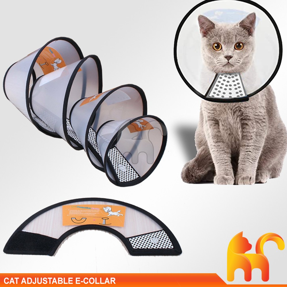 Electronic collar 2024 for cats