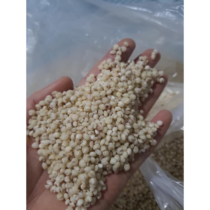 500g Willow Seeds - White bo Seeds Vacuum Bag Dry Goods | Shopee Malaysia
