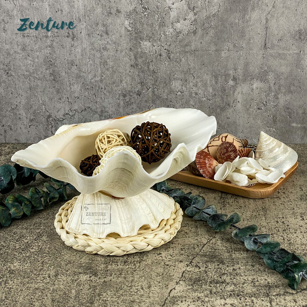 Zenture Seashell Ashtray/Key Storage/Table Decoration with Giant Clam ...