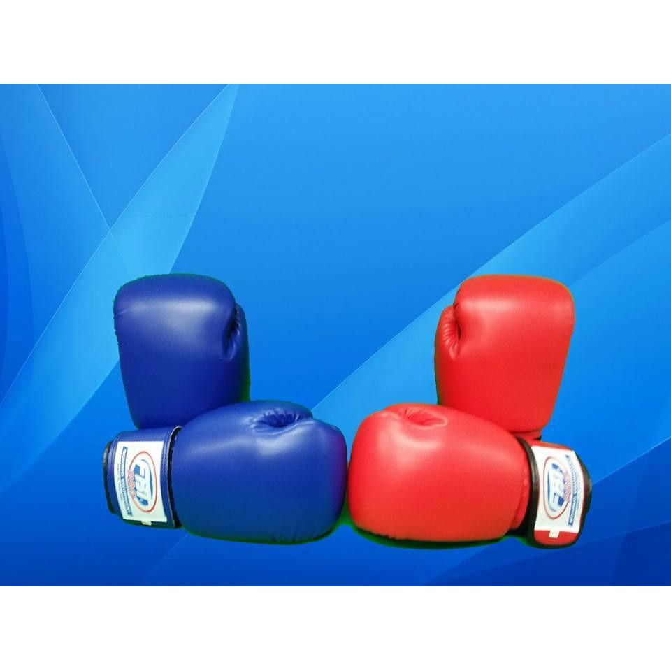 Fbt boxing 2025 gloves