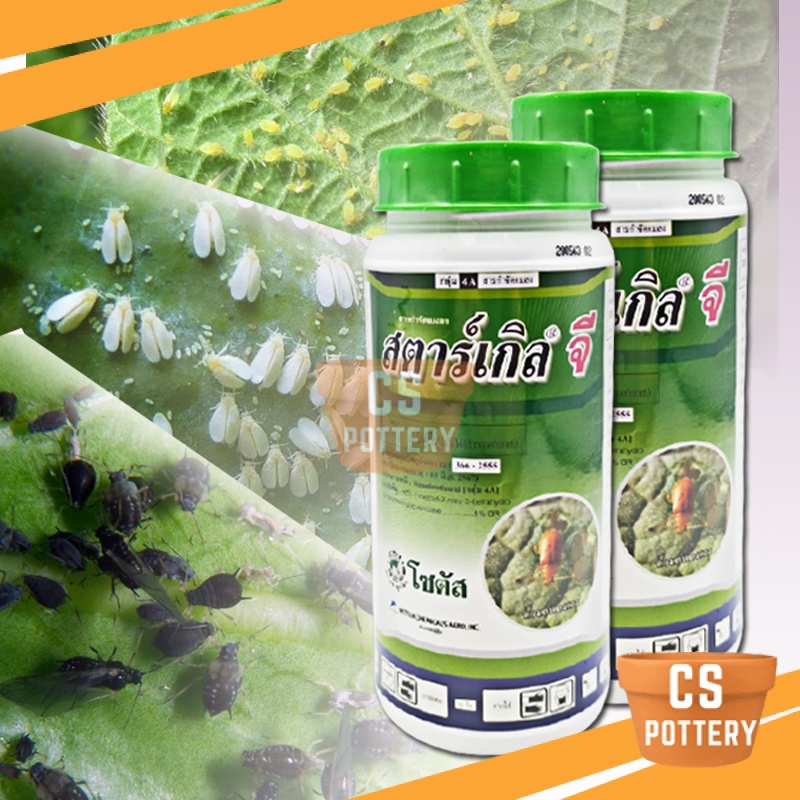 500G THAILAND STARKLE G INSECTICIDE GARDENING USE KILL PEST INSECT