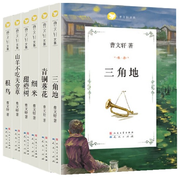 曹文轩文集套装（6册） [8-14岁] 根鸟+青铜葵花+甜橙树+三角地+细米+