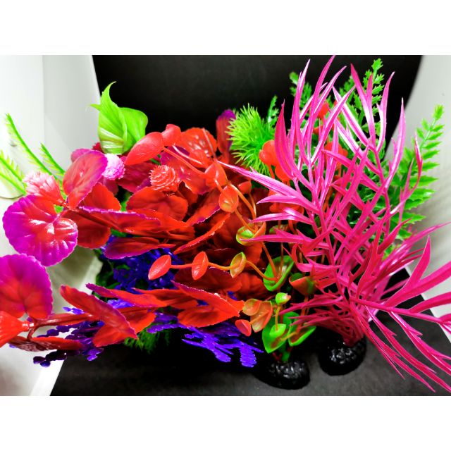 Ready Stock 🔥. Decoration Plastic Plants 20cm. Utk Ikan Laga Ikan Guppy