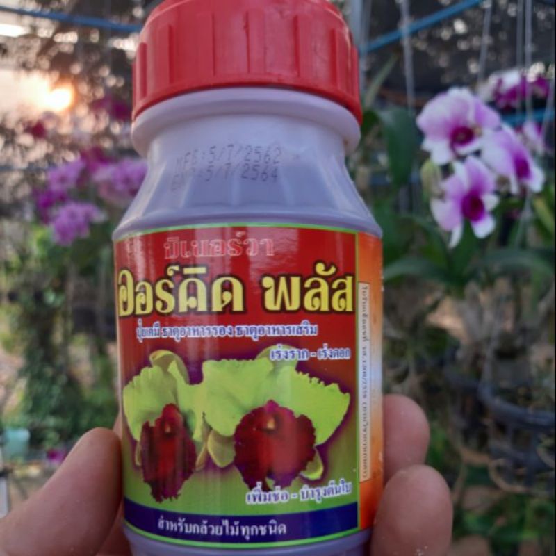 Vitamin Siam, Hormon B1 Penggalak Akar Dan Baja Subur | Shopee Malaysia