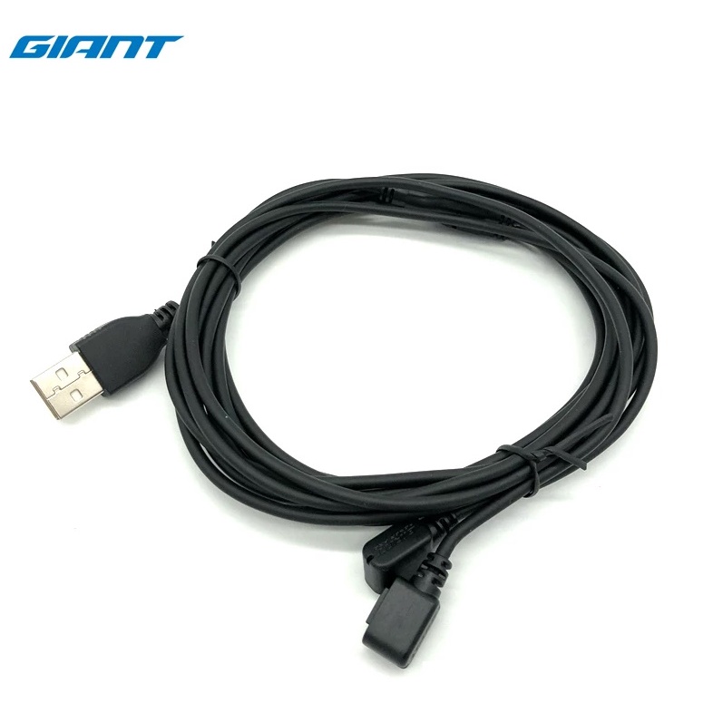giant power pro charging