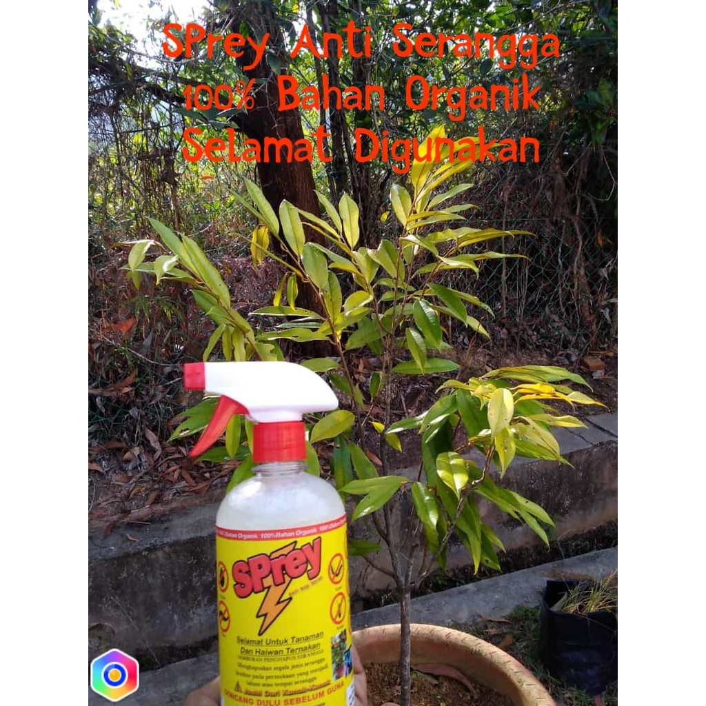 SPrey Semburan Anti Serangga 🔥 FAST Shipping 🔥 | Shopee Malaysia