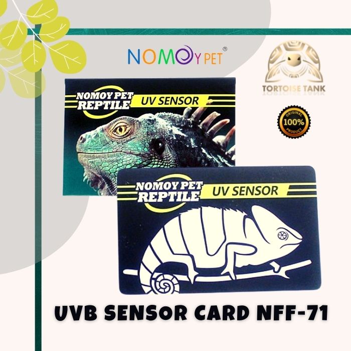 8-Quart Digital Air Fryer