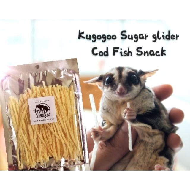 🔥40g Sugar Glider Fish Snack hamster snack sugar glider fish snack JY