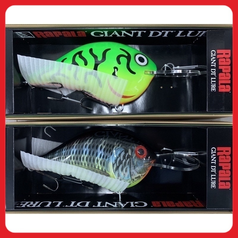 Rapala Giant DT Fishing Lure Limited Edition (Display Use