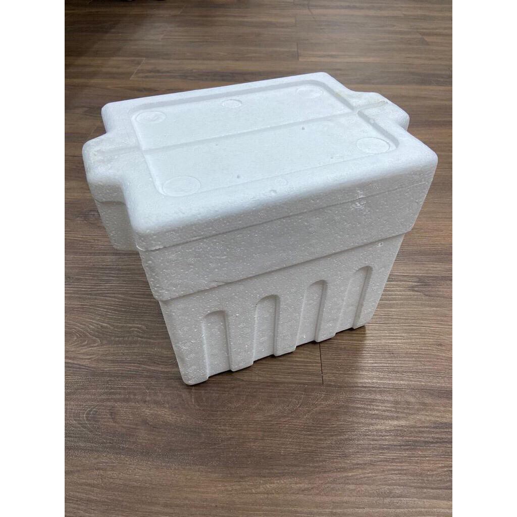 Mini store styrofoam cooler